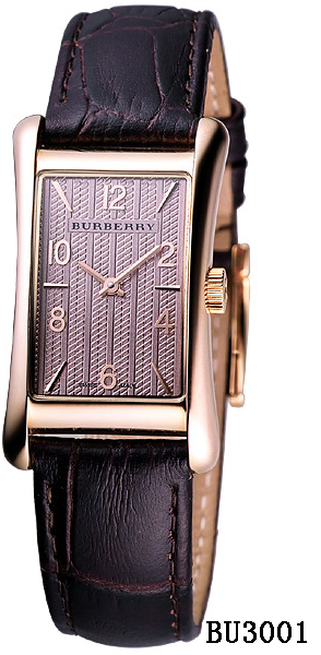 Burberry Watch 102